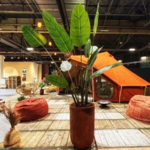 Autentic | Luxury Glamping Bell Tents - Tanaman plant in front of the Autentic Double Bell Tent at Maison & Objet