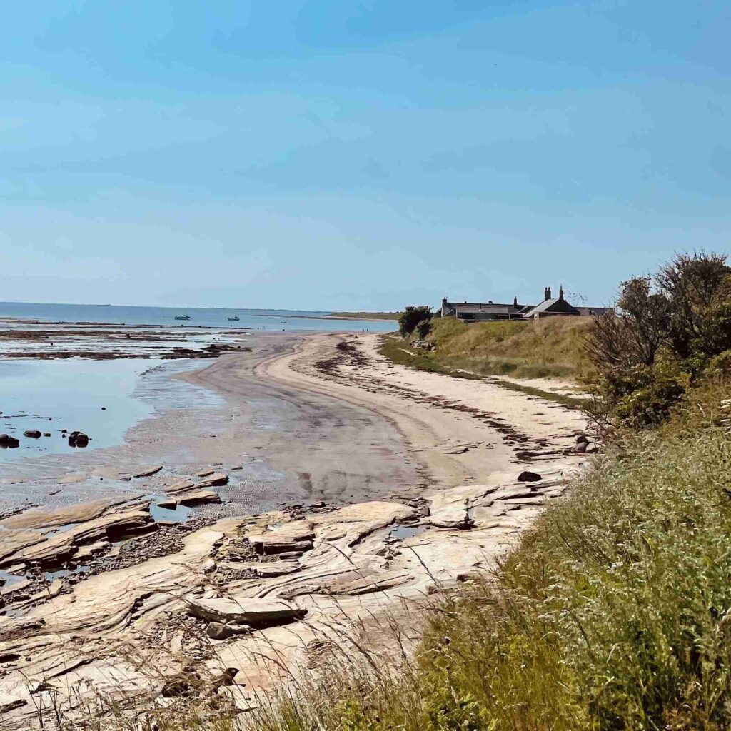 Autentic | Luxury Glamping Bell Tents - 