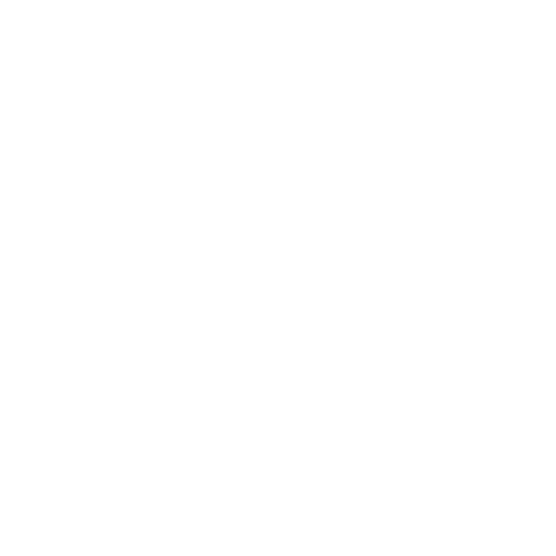 white location pin icon
